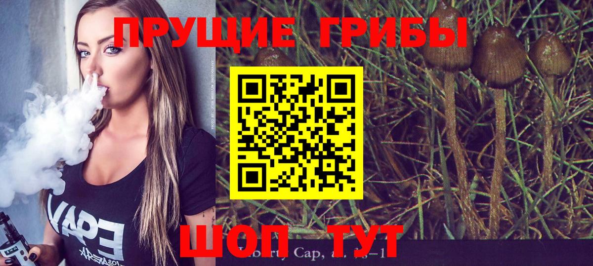 Псилоцибиновые грибы прущие грибы  Вход с VPN  купить   Осинники 