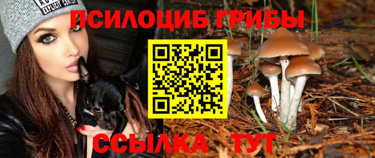 Галлюциногенные грибы GOLDEN TEACHER Осинники